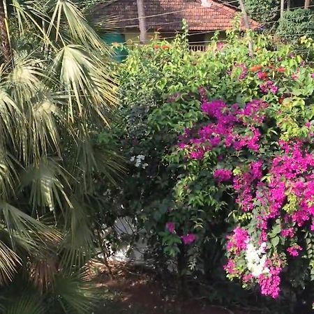 2Bhk Pool Facing Beachside Luxury Homestay In South Goa Betalbatim Buitenkant foto