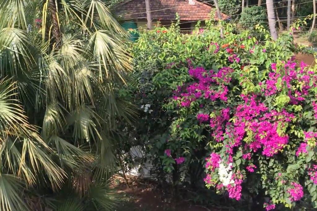 2Bhk Pool Facing Beachside Luxury Homestay In South Goa Betalbatim Buitenkant foto